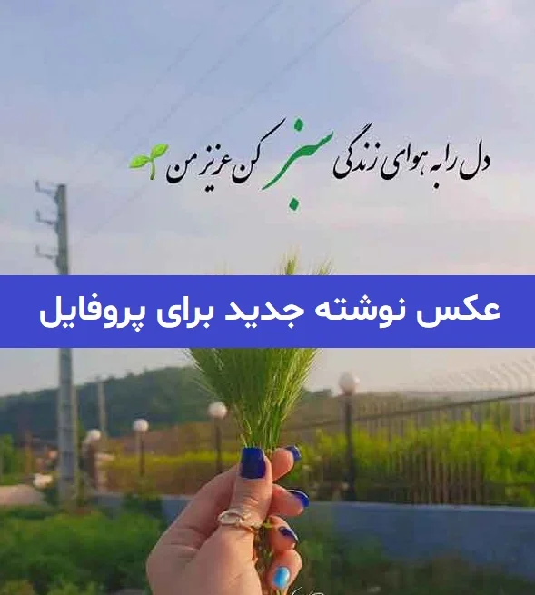 عکس پروفایل جدید آموزنده