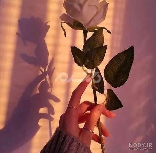 عکس پروفایل جدید اینستا