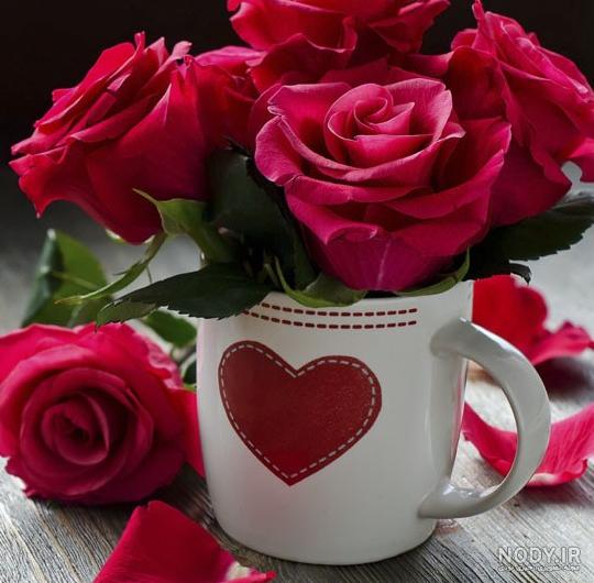 عکس پروفایل جدید گل رز