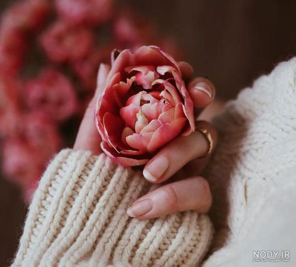 عکس پروفایل گل جدید ۲۰۲۰