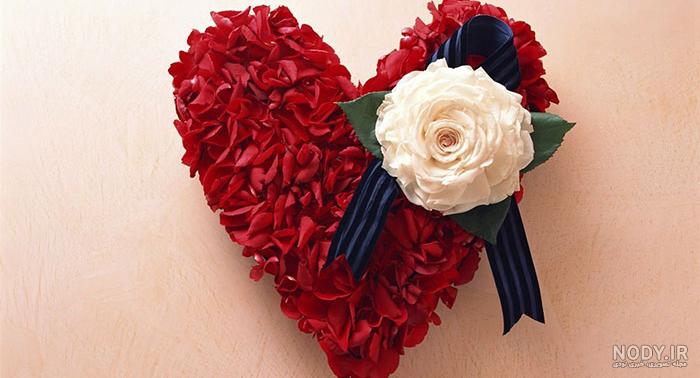 عکس پروفایل گل عاشقانه زیبا از شاخه رز تا نرگس 120 تصویر با کیفیت!