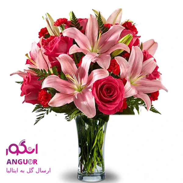 عکس گل فرشته