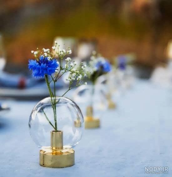 عکس گل در گلدان شیشه ای برای پروفایل