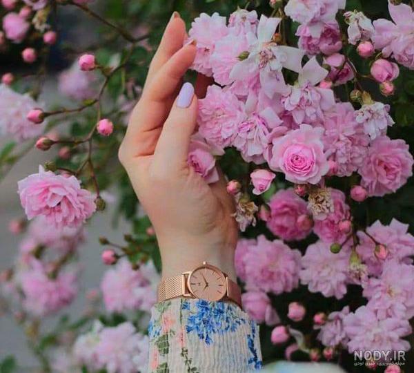 ۷۰ عکس پروفایل گل ۱۴۰۱ برای شبکه های اجتماعی مختلف