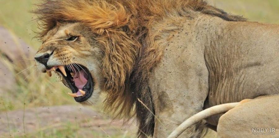 از یک دختر ضعیف و دردونه شدم یک دختر قوی...!