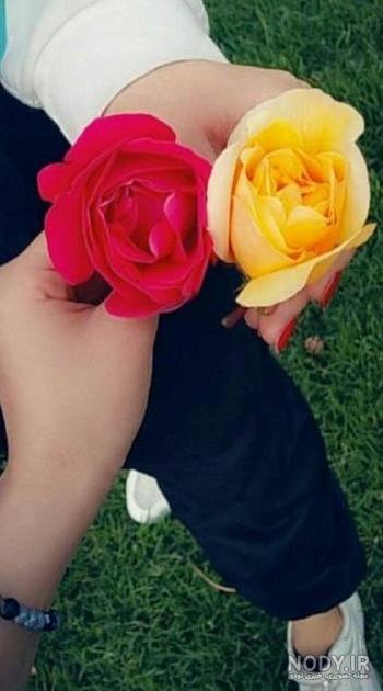 استوری گل قشنگ برای اینستا 20191 | پروفایل گرام استوری گل قشنگ برای اینستا 20191 | پروفایل گرام