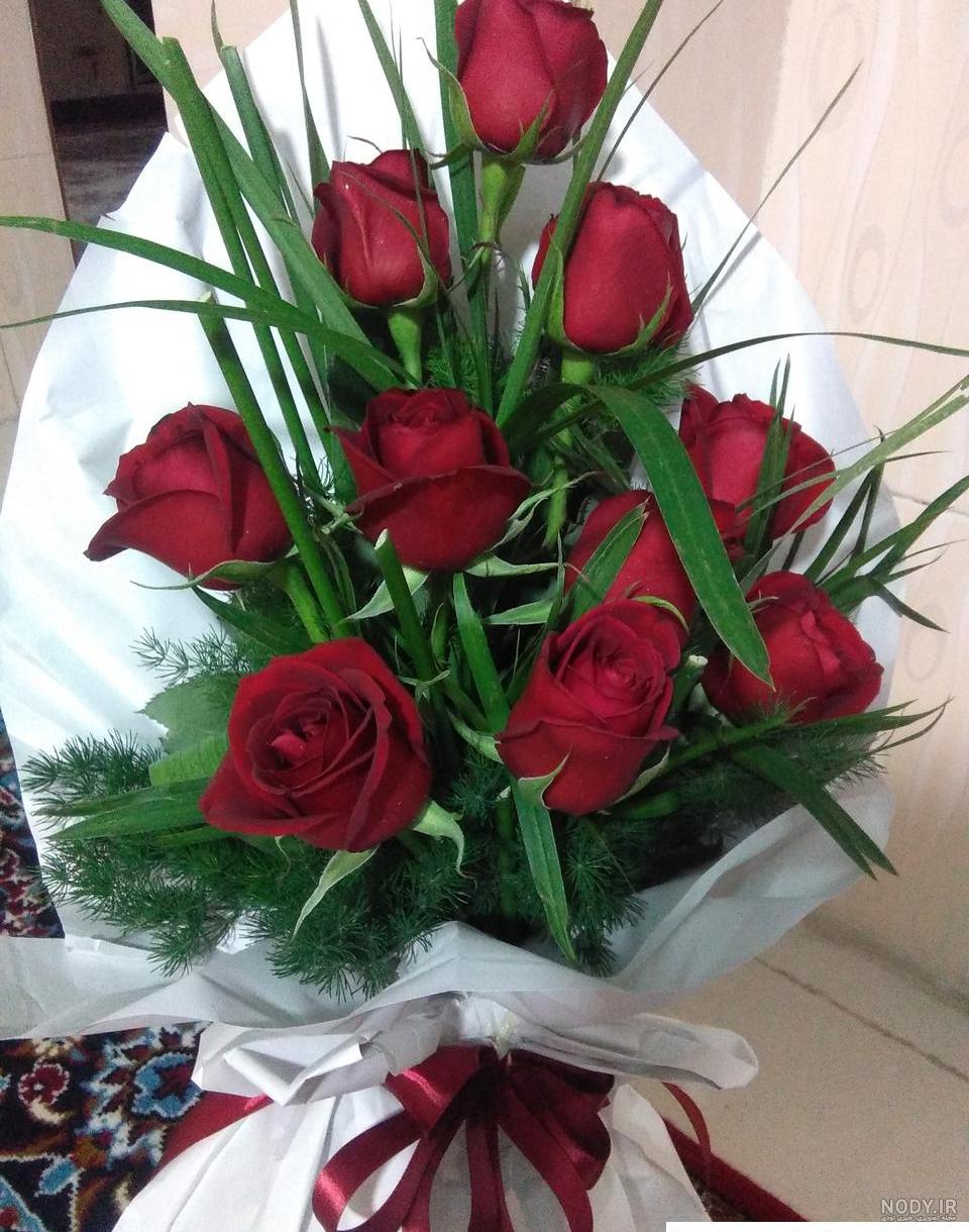 جدیدترین عکس گل زیبا و خاص برای صفحه مجازی خود و یا استوری - گلی خانوم جدیدترین عکس گل زیبا و خاص برای صفحه مجازی خود و یا استوری - گلی خانوم