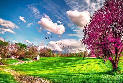 عکس های جدید طبیعت برای پروفایل عکس های جدید طبیعت برای پروفایل