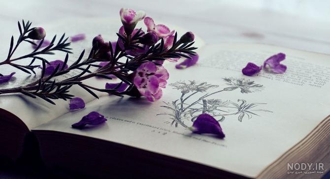 عکس دخترونه صفحه گوشی - عکس نودی
