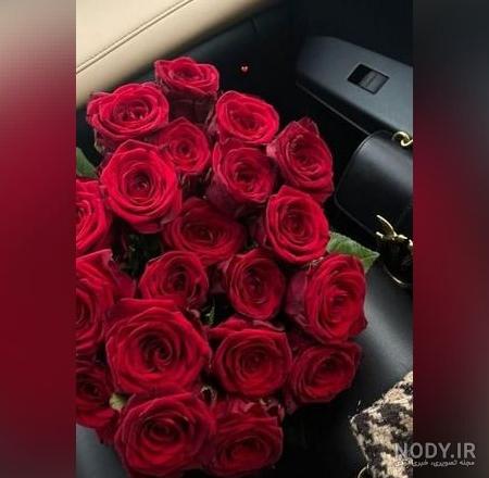 عکس فیک دسته گل - عکس نودی عکس فیک دسته گل - عکس نودی
