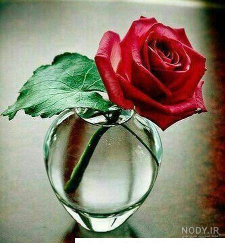 عکس واتساپ جدید | عکس برای پروفایل واتساپ دخترانه | عکس برای ...