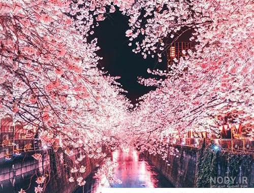 عکس پروفایل برای واتساپ جدید