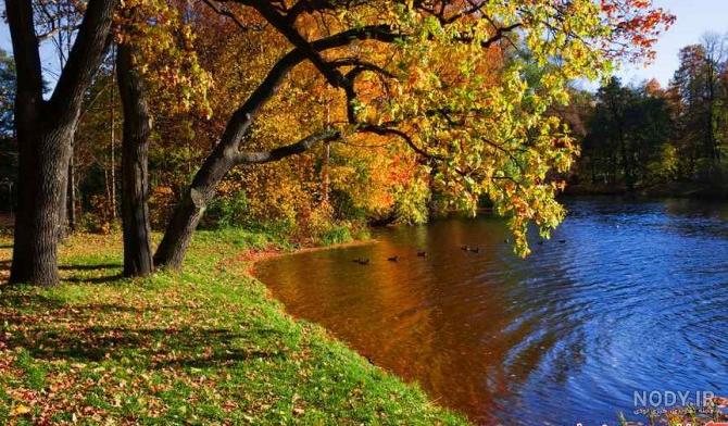 عکس پروفایل بهاری 2023 | عکس طبیعت بهاری| عکس بهار | عکس پروفایل ... عکس پروفایل بهاری 2023 | عکس طبیعت بهاری| عکس بهار | عکس پروفایل ...