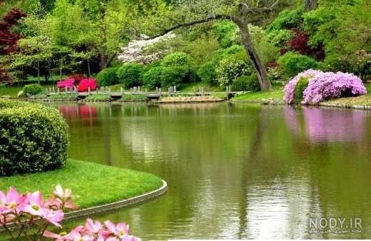 عکس پروفایل دخترانه جدید طبیعی