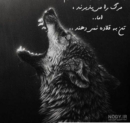 عکس پروفایل پسرانه حیوان