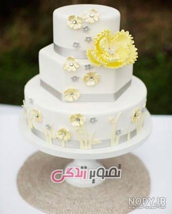 عکس کیک تولد عروس هلندی