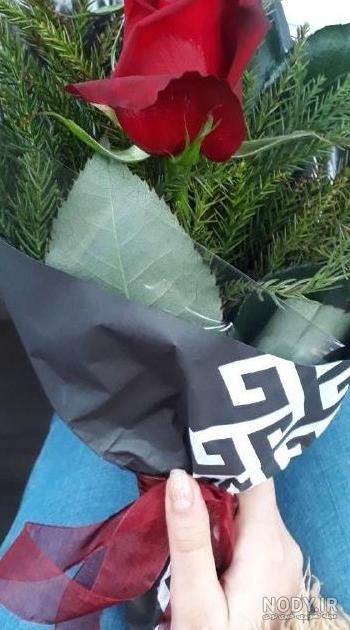 عکس گل برای پروفایل 1401 | عکس گل برای پروفایل واتساپ | عکس گل ... عکس گل برای پروفایل 1401 | عکس گل برای پروفایل واتساپ | عکس گل ...