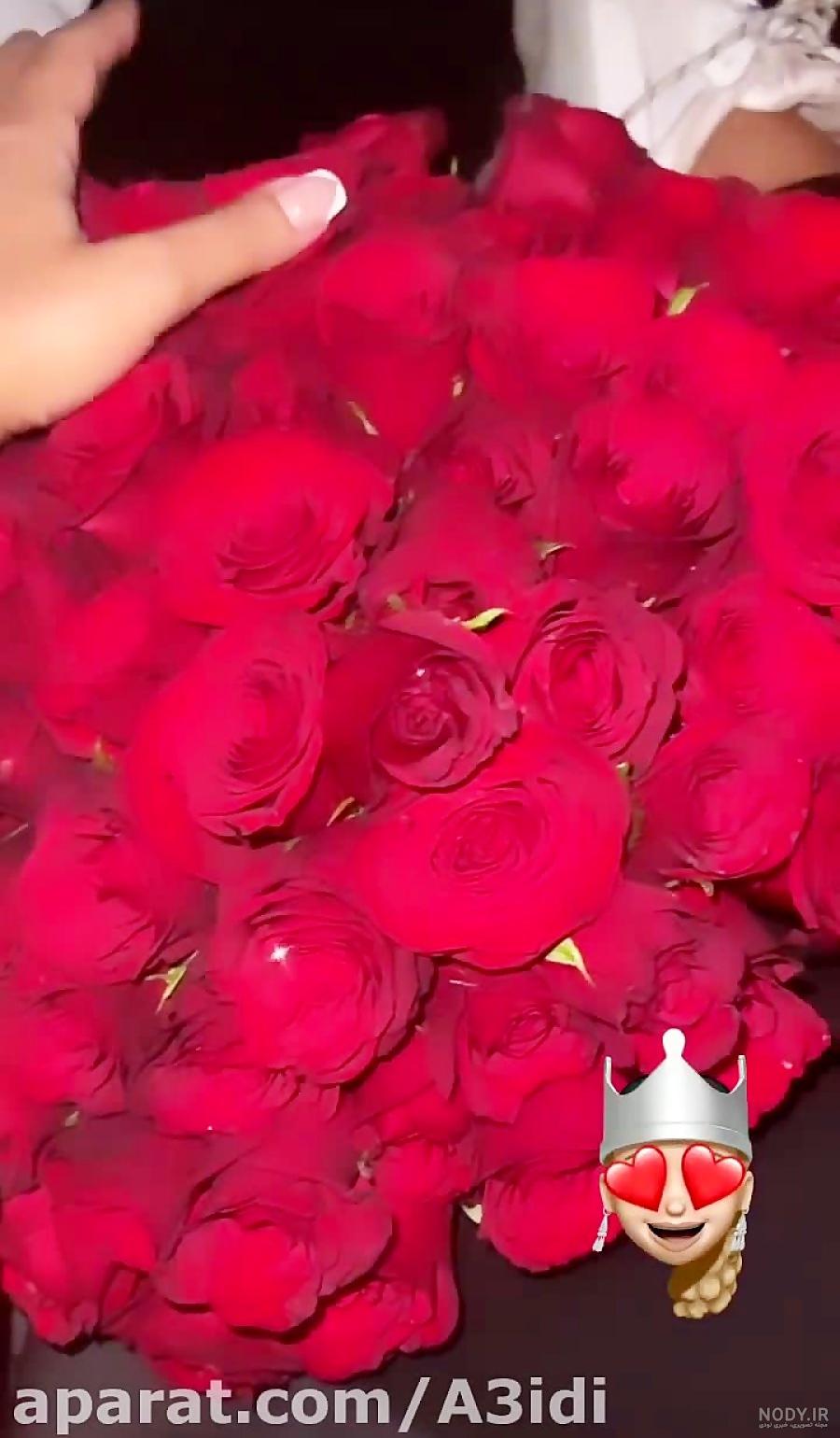 عکس گل برای پروفایل 1401 | عکس گل برای پروفایل واتساپ | عکس گل ... عکس گل برای پروفایل 1401 | عکس گل برای پروفایل واتساپ | عکس گل ...