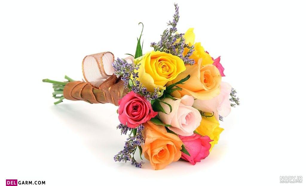 عکس گل رز برای پروفایل اینستاگرام، تلگرام و واتساپ