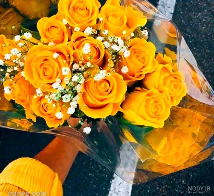 عکس گل رز زرد برای پروفایل ❤️ [ بهترین تصاویر ]