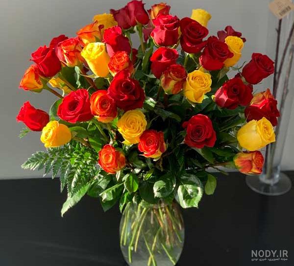 عکس گل رز زرد برای پروفایل ❤️ [ بهترین تصاویر ]