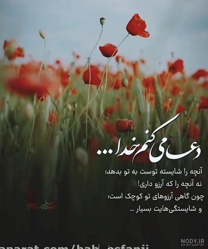 عکس گل رز قرمز برای پروفایل واتساپ جدید