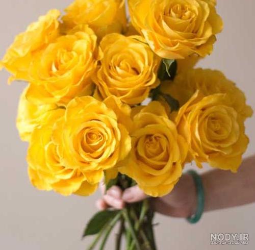 عکس گل زرد برای پروفایل واتساپ