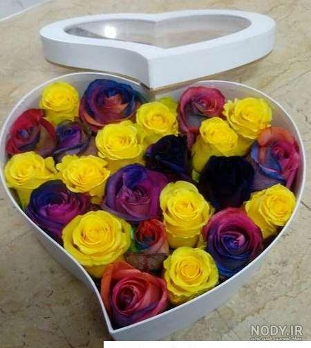 عکس گل زرد زیبا برای پروفایل تلگرام و اینستاگرام عکس گل زرد زیبا برای پروفایل تلگرام و اینستاگرام