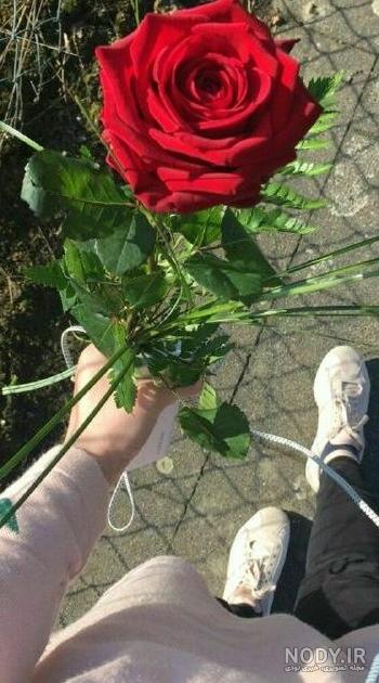 عکس گل فیک برای استوری عکس گل فیک برای استوری