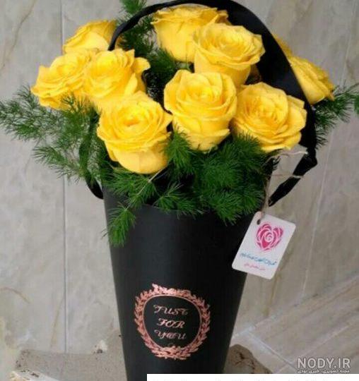 گالری عکس گل رز زرد برای خاص پسندان - ستاره