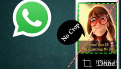 آموزش تغییر عکس پروفایل واتساپ + مخفی کردن آن - نوماوب