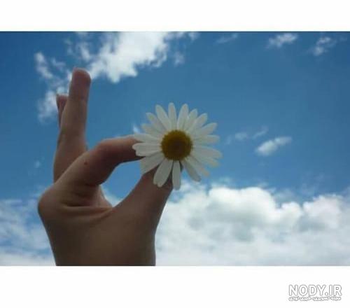 بابونِـہ✿ | رمان ۹۸ | بهترین انجمن رمان نویسی