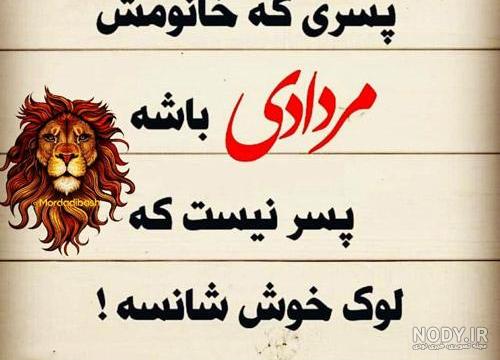 عکس شیر برای پروفایل | 65 عکس پروفایل شیر با کیفیت عالی{full HD}