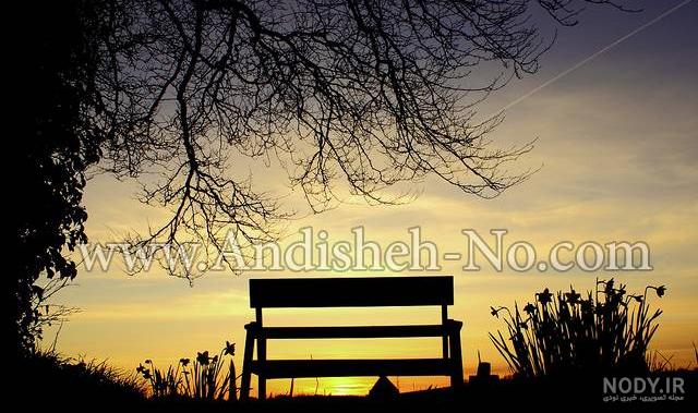 عکس ضدنور | عکس ضدنور چیست | مکتوب -مجله علمی آموزشی مکتب‌خونه