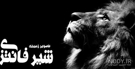 عکس پروفایل شیر با انواع طرح های متفاوت و جالب