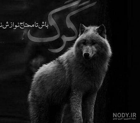 عکس پروفایل پسرانه شاخ 1402 | عکس پروفایل پسرانه لاتی بدون متن ...