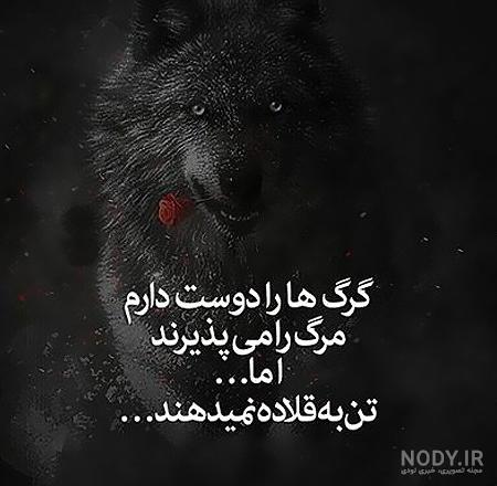 عکس پروفایل گرگ با نوشته های انگیزشی + متن های زیبا و انگیزشی عکس پروفایل گرگ با نوشته های انگیزشی + متن های زیبا و انگیزشی