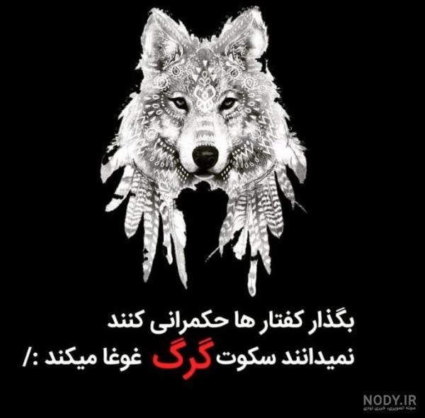 عکس گرگ برای پروفایل واتساپ