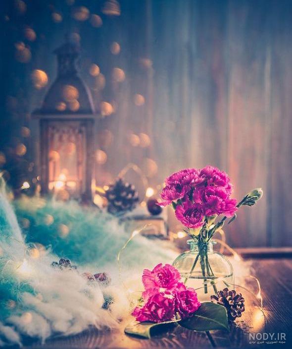 عکس گل بابونه پروفایل