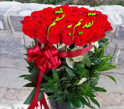 عکس گل رز قرمز عاشقانه + عکس گل رز قرمز با زمینه مشکی