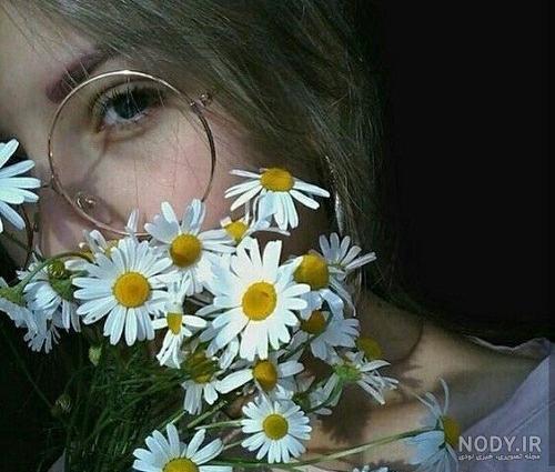 پروفایل دخترونه بابونه خوشگل گل | تاوعکس