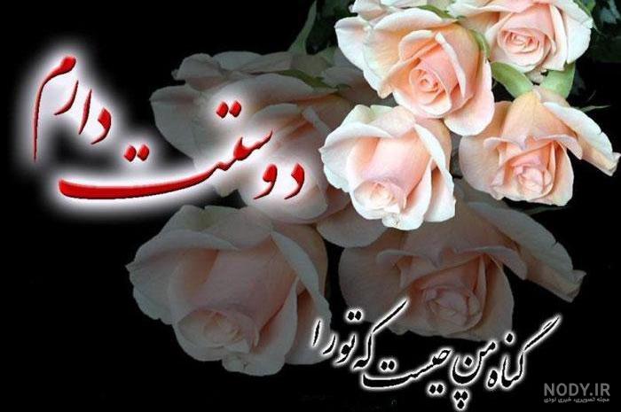 گالری عکس گل رز صورتی عاشقانه و زیبا برای پروفایل با کیفیت بالا