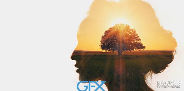 عکس موفقیت بدون متن