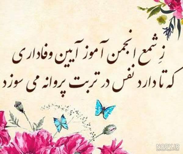 بایگانی‌های عکس جدید پروفایل همسرم دنیامه - کامل (مولیزی)
