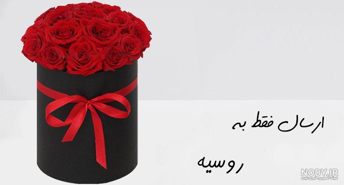 عکس از گل ژیپسوفیلا