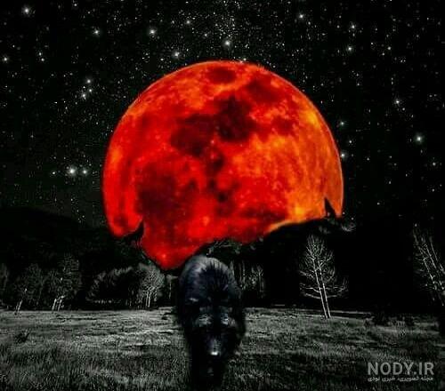 عکس پروفایل آسمان + تصاویر دیدنی از آسمان شب و روز برای بکگراند