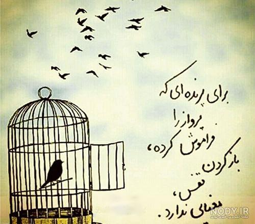 عکس پروفایل دخترونه شاخ مذهبی - عکس نودی عکس پروفایل دخترونه شاخ مذهبی - عکس نودی