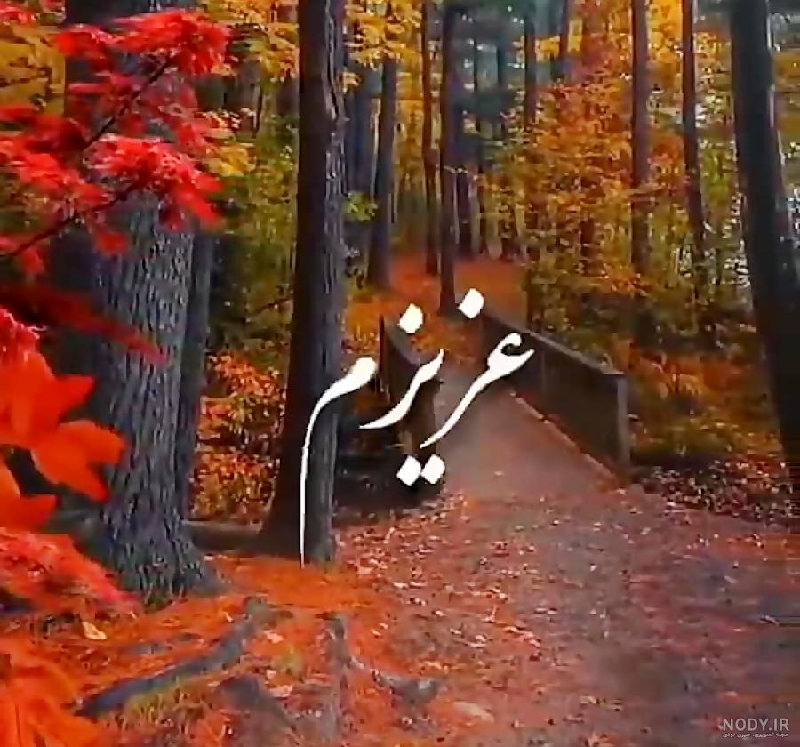 عکس پروفایل همسرم عشقم - تــــــــوپ تـــــــــاپ عکس پروفایل همسرم عشقم - تــــــــوپ تـــــــــاپ