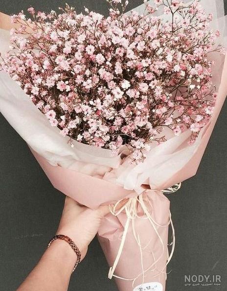 عکس گل ژیپسوفیلا