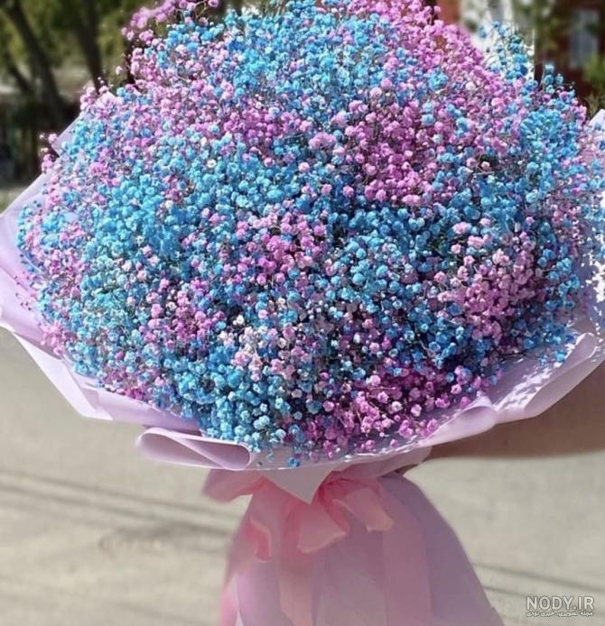 عکس گل ژیپسوفیلا